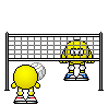 :volleyball